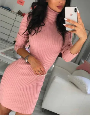 Autumn Women's Sexy High-necked Slim Long Sleeve Hip Dress