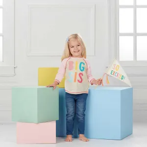 Big Sister Shirt and Pennant Set