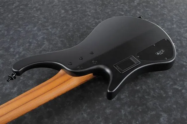 Ibanez EHB1005-BKF  Bass Workshop