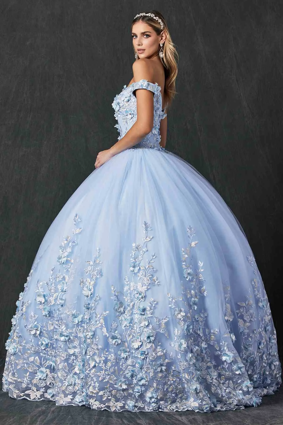 Juliet 1434 Dress Quinceanera Ball Gown 3D Floral Embroidered