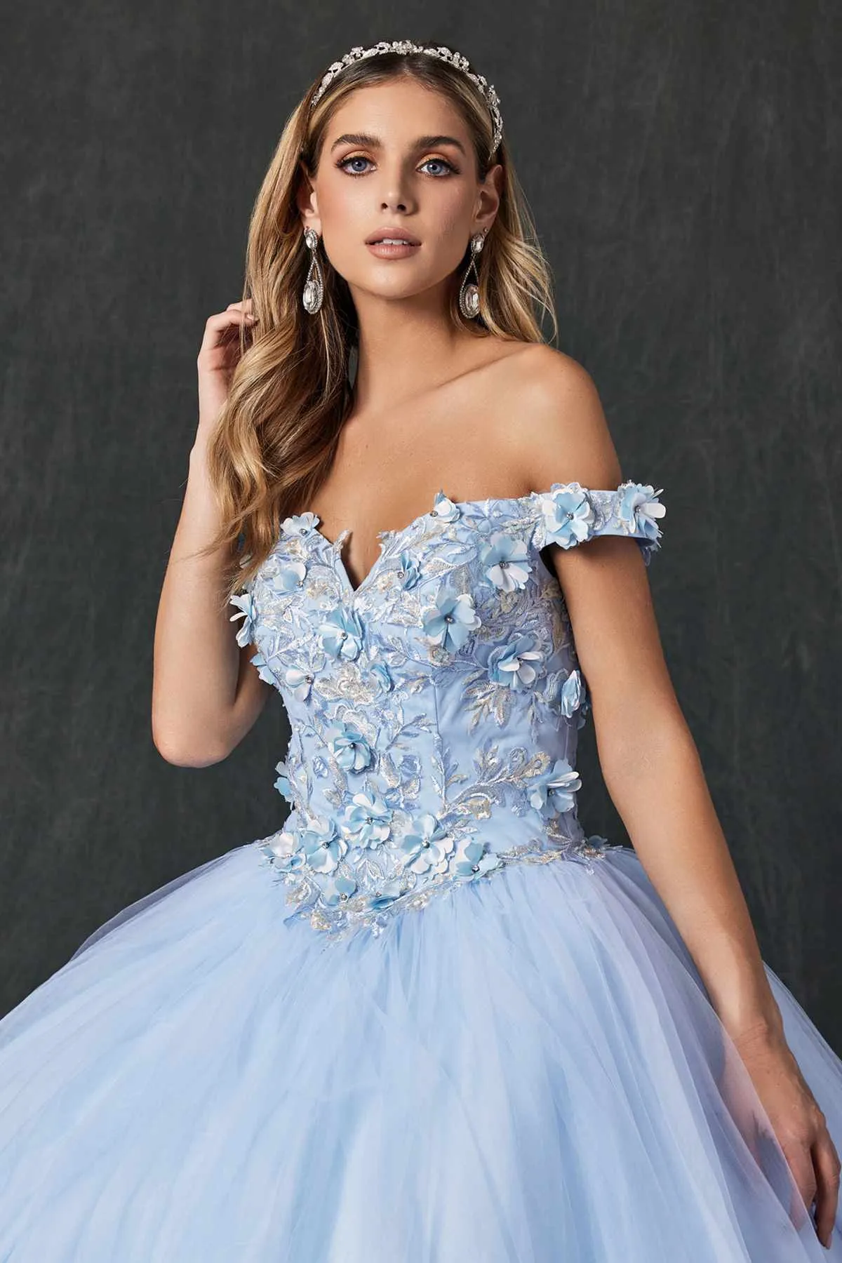 Juliet 1434 Dress Quinceanera Ball Gown 3D Floral Embroidered