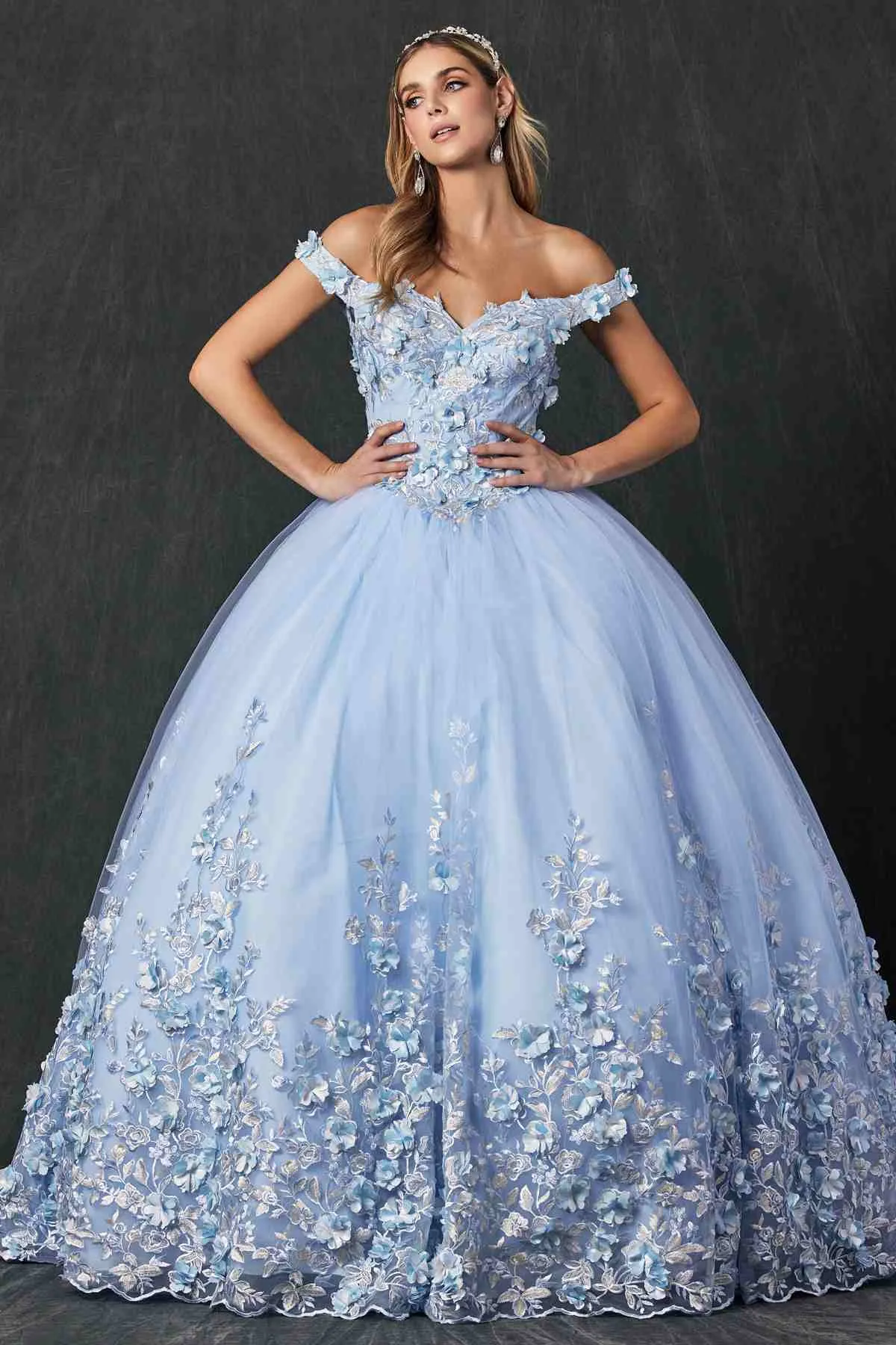 Juliet 1434 Dress Quinceanera Ball Gown 3D Floral Embroidered