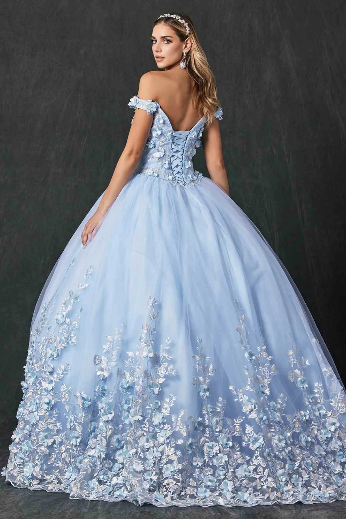 Juliet 1434 Dress Quinceanera Ball Gown 3D Floral Embroidered