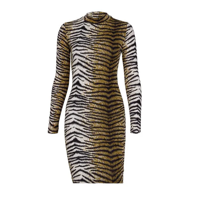 Leopard Print Sexy Mini Dress