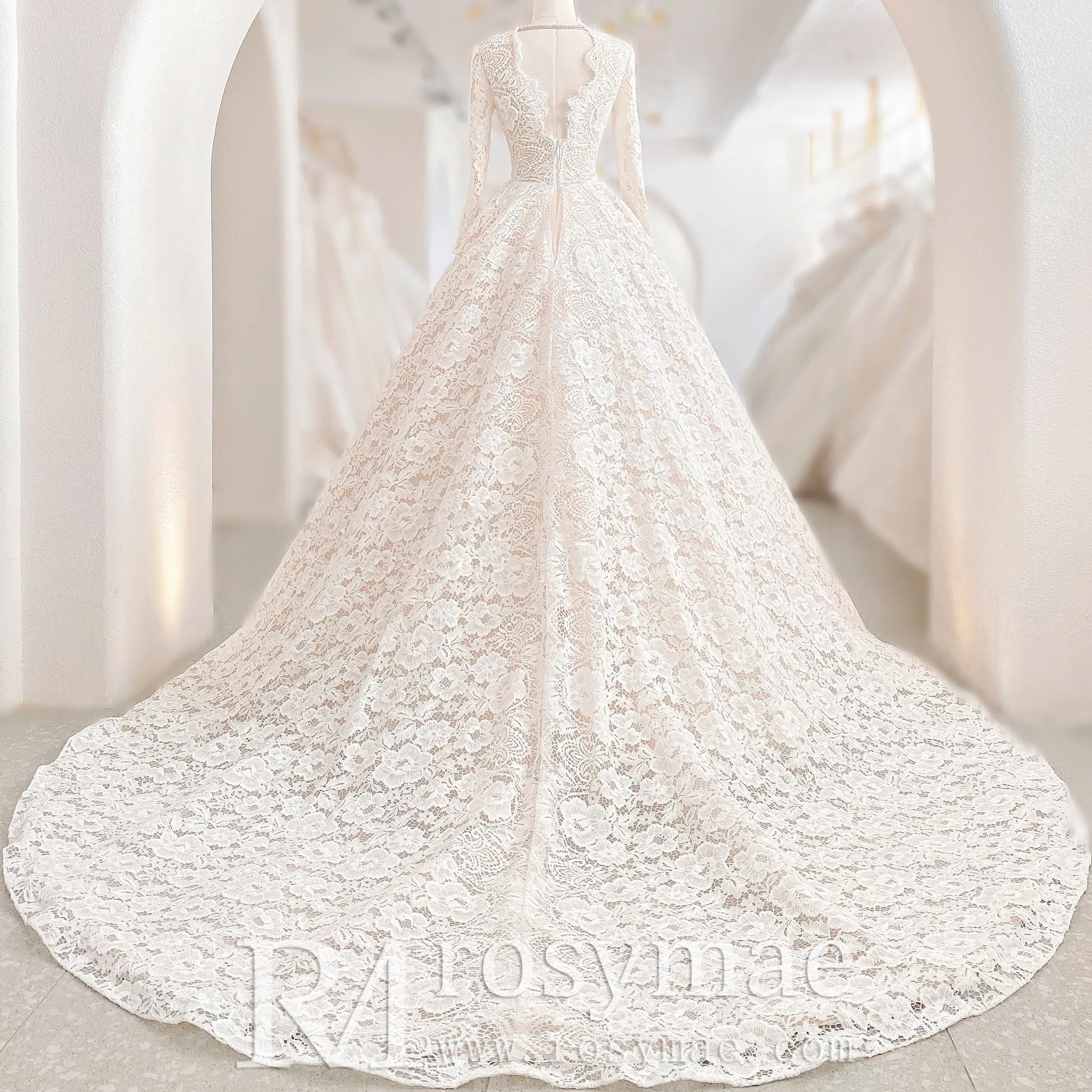 Light Champagne Long Sleeve Lace Wedding Dresses with Sheer Neckline