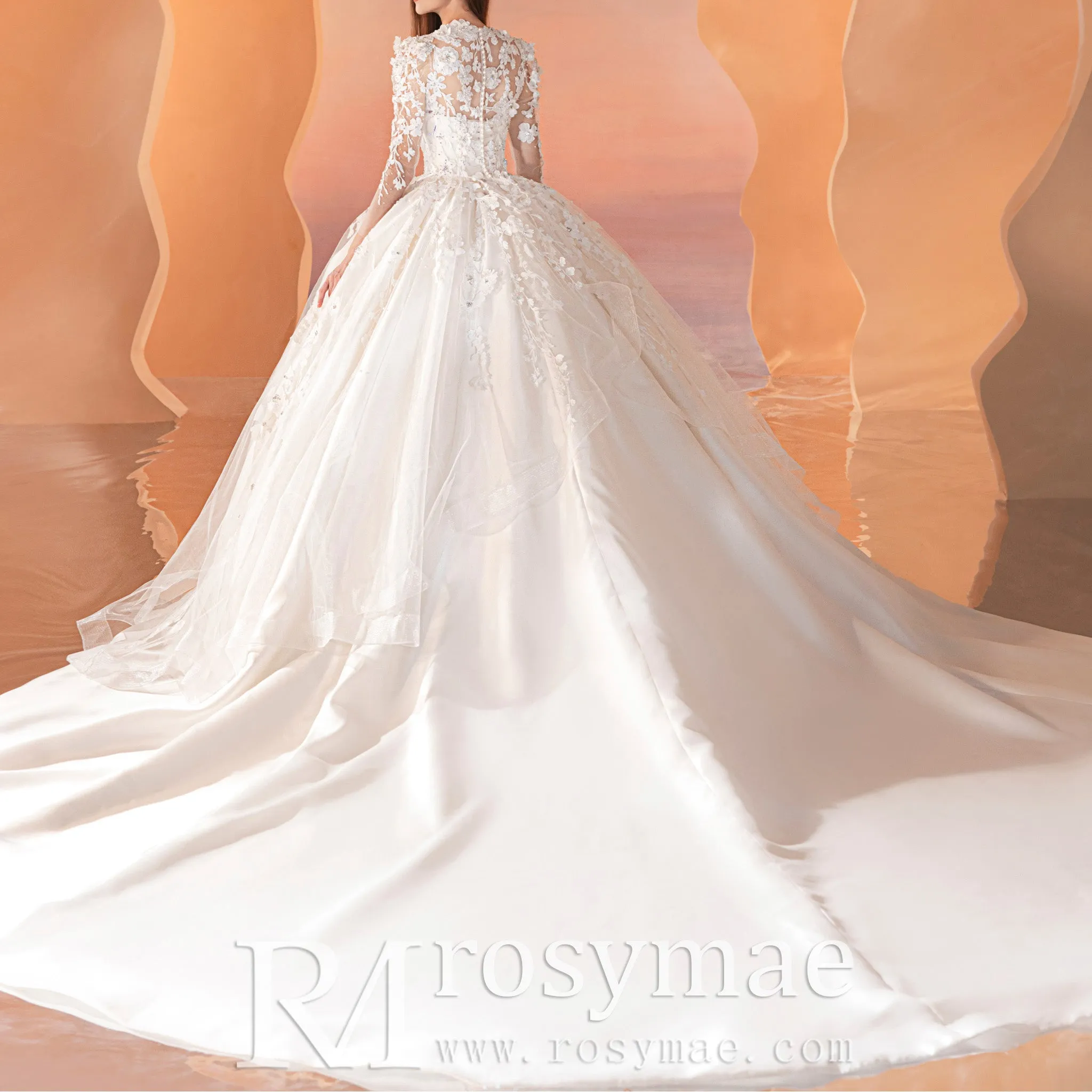 Sheer Long Sleeve Ball Gown Lace Wedding Dress with High O-neck